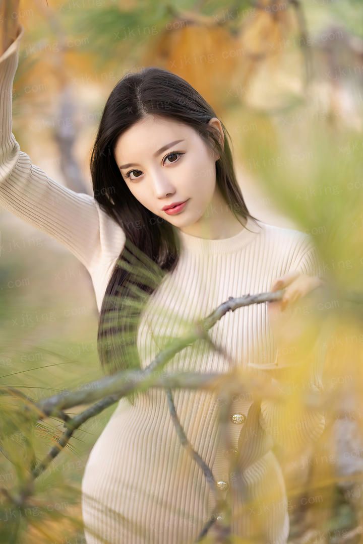 元朝蒙古铁骑横扫世界