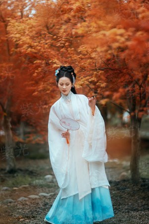 网游之神级御兽师
