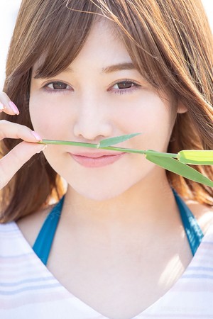 树先生不好惹
