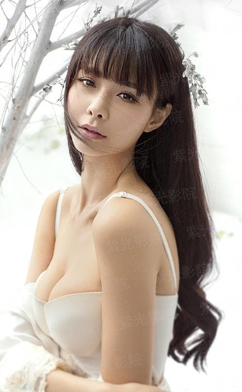 年华似火如歌