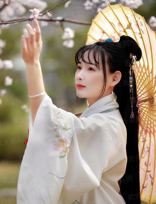 重生之倾城殇歌
