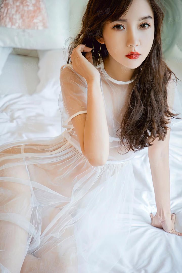 仓鼠与格蕾泰尔