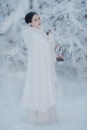 崩坏世界的奈非天