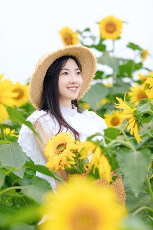 绝顶仙王系统